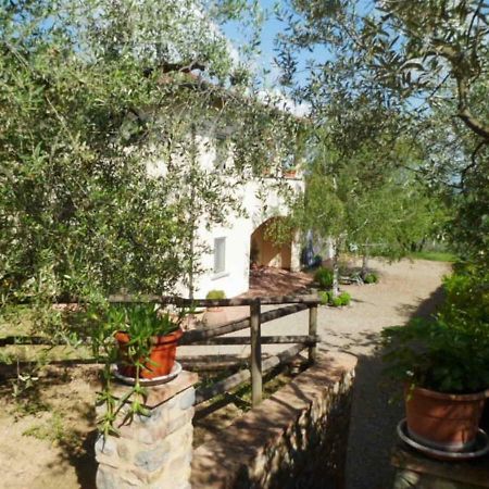 Casa Le Betulle ξενώνας Montespertoli Εξωτερικό φωτογραφία