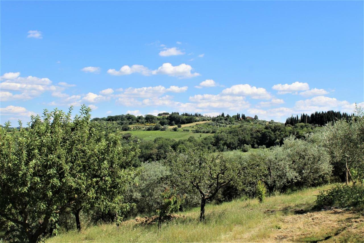 Casa Le Betulle ξενώνας Montespertoli Εξωτερικό φωτογραφία